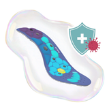 Antibacterial Coating